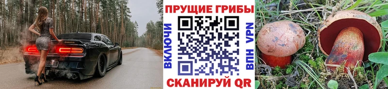 shop состав Новая Ладога Псилоцибиновые грибы Magic Shrooms